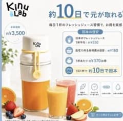 【Kinu Lab】コードレスミキサー 300ml Type-C充電式 未使用のサムネイル