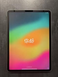 iPad Pro (11-inch) 2世代128gb wifiモデルシルバーのサムネイル