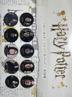 【貴重】缶バッジ 全10種　コンプセットのサムネイル