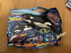 アポロ様専用☆のサムネイル