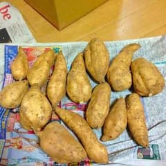 ラスト1箱限定❗️完全無農薬野菜 宮崎県産 黄金千貫 規格外品のサムネイル