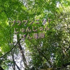 ニット　ポワン袖　パフスリーブ　ブラウンのサムネイル