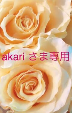 akariさま専用のサムネイル