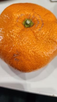 shoko様専用です！のサムネイル