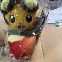 포켓몬 해외 한정 데덴네 봉제인형 마스코트 과연 일파