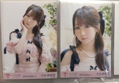 =LOVE 大谷映美里 ピンクニット 生写真 セミコンプのサムネイル