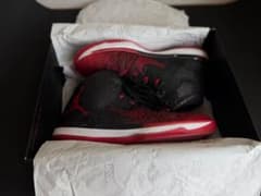 葛*西様 ソール剥がれ Air Jordan 31 29cm Banned バッのサムネイル