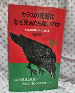 カラスの死骸はなぜ見あたらないのか 矢追純一のサムネイル