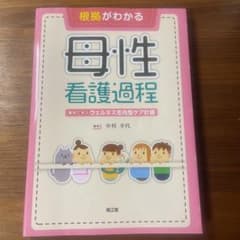 根拠がわかる母性看護過程 事例で学ぶウェルネス志向型ケア計画のサムネイル