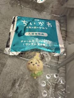치이카와 영화 입장자 특전 메지루시 매력 토끼