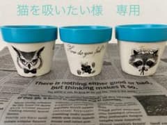 リメイク鉢　三点セットのサムネイル