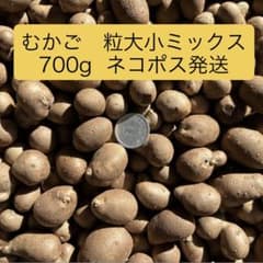 むかご・700gのサムネイル