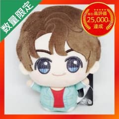 BTS TinyTAN DNA 치비구루미 vol.2 [JUNGKOOK]