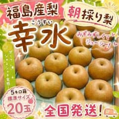 福島産梨 幸水5キロ箱20玉 家庭用のサムネイル