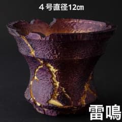 新作】雷鳴〜紫金〜 4号直径12㎝ 3dプリンター鉢 作家鉢 アガベ