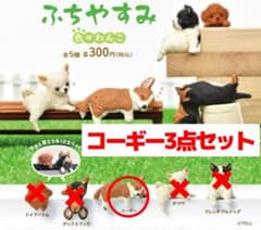 ふちやすみ 色々わんこ コーギー 3点セットのサムネイル