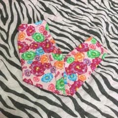 RONI レギパンのサムネイル