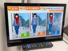 パナソニック ポータブルTV プライベートビエラ UN-19CF10D