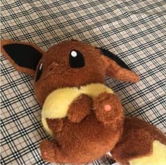 ポケモンぬいぐるみのサムネイル