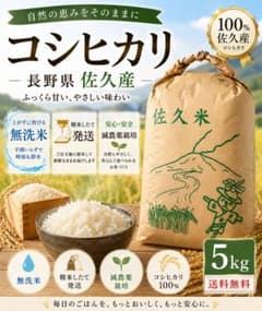 残り2袋【コシヒカリ】令和7年産 長野県佐久産 5kg 無洗米 こしひかり