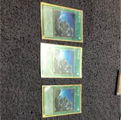 同胞の絆 3枚のサムネイル