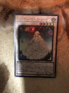 遊戯王 ガーデン・ローズ・メイデンのサムネイル