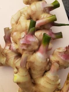 新生姜　鹿児島産　本日限定のサムネイル