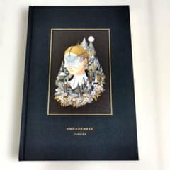 Y1630 『UNDARKNESS』junaida (ジュナイダ)画集 Y1630 『UNDARKNESS』junaida (ジュナイダ)画集 - メルカリ