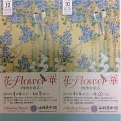 花＊Flower＊華  山種美術館ペアチケットのサムネイル