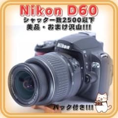Nikon D60 おまけ充実 シャッター数2500回以下 初心者おススメセット