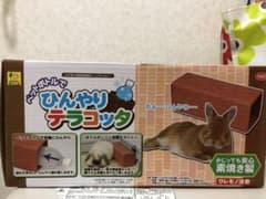 ひんやりテラコッタのサムネイル