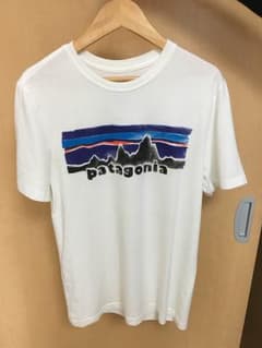 パタゴニア Tシャツのサムネイル
