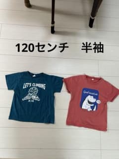 Tシャツ 2枚セット 120cmのサムネイル