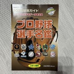 ほ*し様 プロ野球選手名鑑 2025年版のサムネイル
