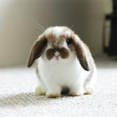 m@@様専用のサムネイル