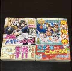 風呂場女神 お嬢メイドになる！ レジーナブックスのサムネイル