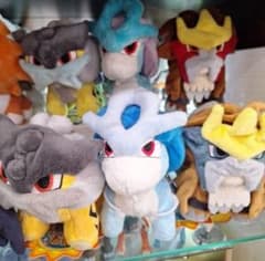 オマケ付き 新品 色違い エンテイ スイクン ライコウ ドール