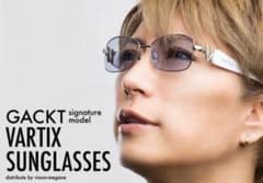 超希少】美品 VARTIX VS-02サングラスGackt着用 ラインストーン - メルカリ