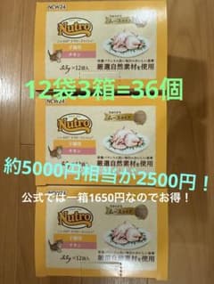 ニュートロ　キトン　ウェット　チキン　子猫のサムネイル