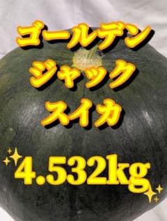 679匿名発送！千葉県産ゴールデンジャックスイカ　高糖度１玉 4.532kgのサムネイル