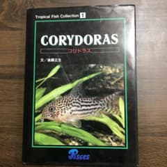 ゲンさん専用のサムネイル