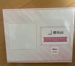 新品　非売品　櫻坂46 山川宇衣　アクスタ　アクリルスタンド　限定100個 新品 非売品 櫻坂46 山川宇衣 アクスタ アクリルスタンド 限定100個