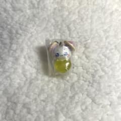 푸치큐아 메지루시 액세서리 푹신