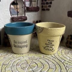 リメイク鉢2個セットのサムネイル