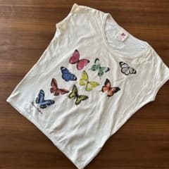 American Outfitters カットソーのサムネイル