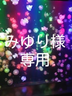 みゆり様専用のサムネイル