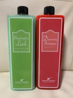 ながら洗車 ビギナーズラック& 脱脂シャンプー 1000ml セット - メルカリ