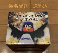 m69880890965_1.jpg?1709563097