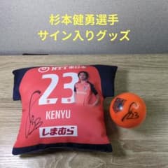 レア 大宮アルディージャ 杉本健勇選手サイン入りグッズ クッション