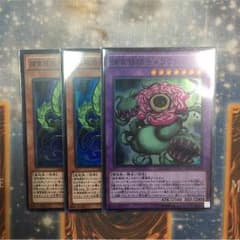 遊戯王 捕食植物パーツのサムネイル